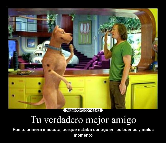 Tu verdadero mejor amigo - Fue tu primera mascota, porque estaba contigo en los buenos y malos momento