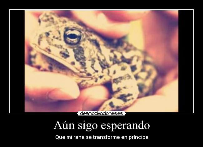 Aún sigo esperando -