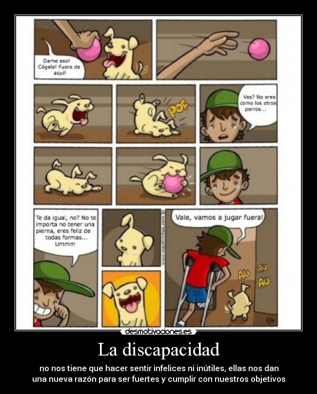 La discapacidad - 