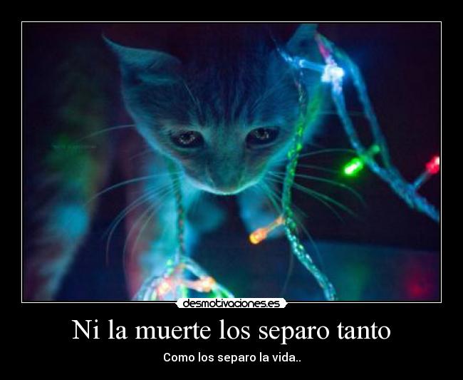 Ni la muerte los separo tanto - Como los separo la vida..