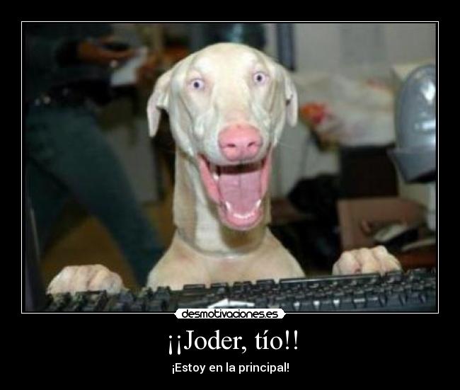 carteles estoy solooooo desmotivaciones