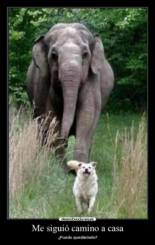 carteles casa asdfasdfasdf nyancat17 desmotivaciones