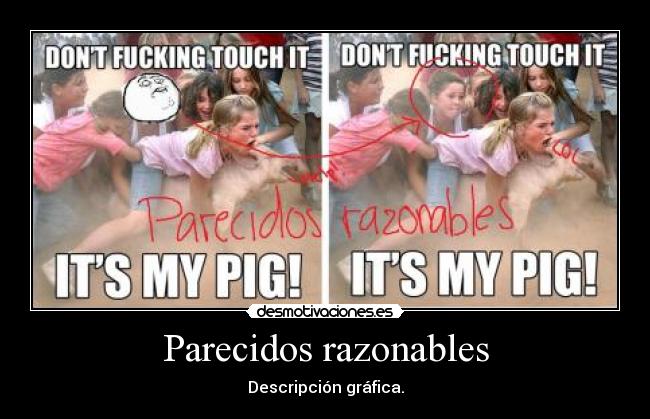 Parecidos razonables -