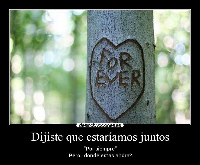 Dijiste que estaríamos juntos - Por siempre
Pero...donde estas ahora?