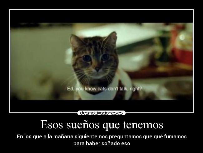 Esos sueños que tenemos - 