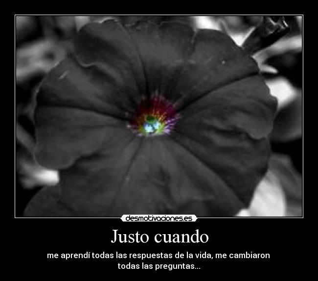 carteles sffs desmotivaciones