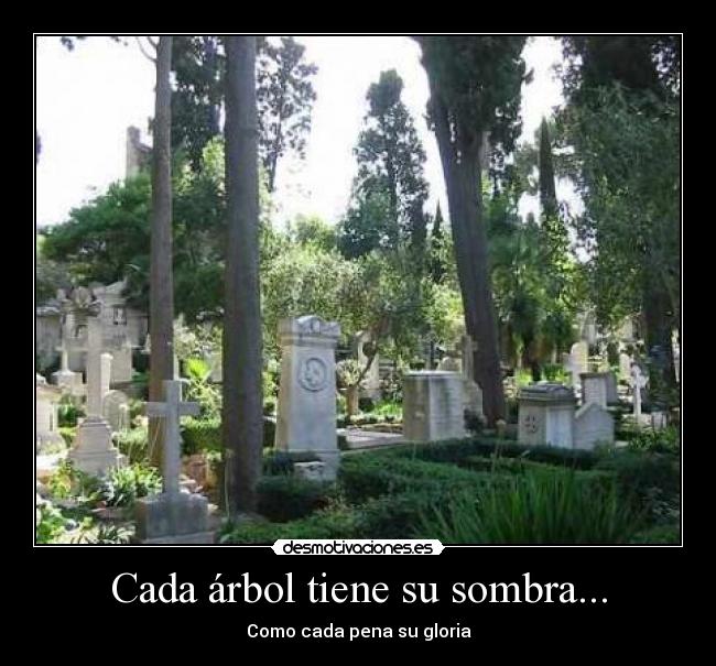 Cada árbol tiene su sombra... -