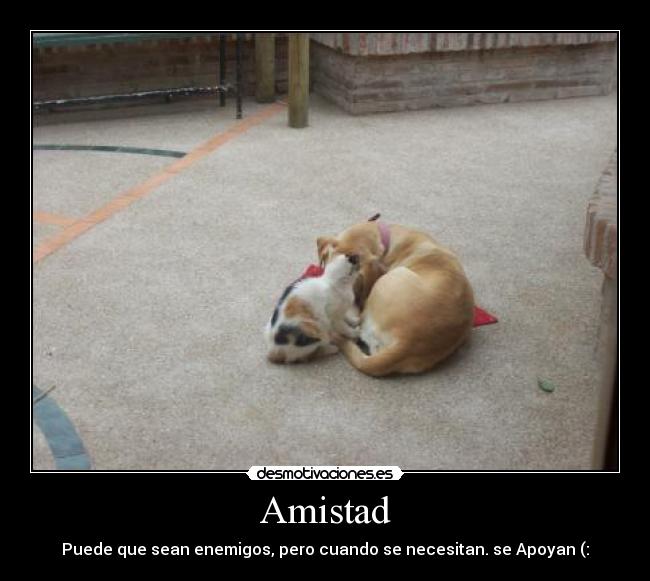 Amistad - Puede que sean enemigos, pero cuando se necesitan. se Apoyan (: