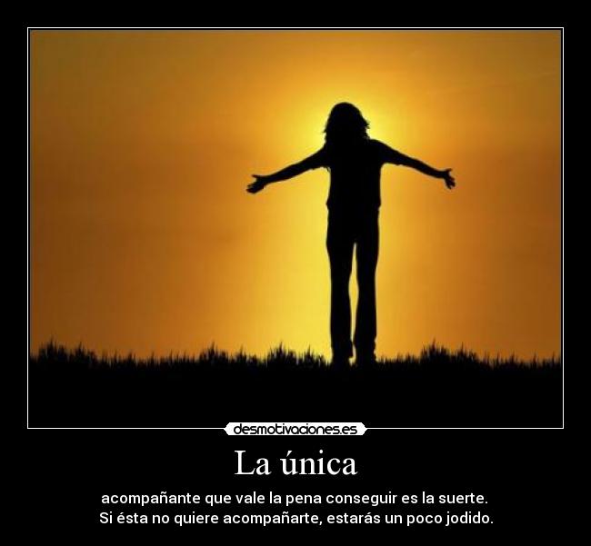 carteles unica acompanante suerte jodido desmotivaciones