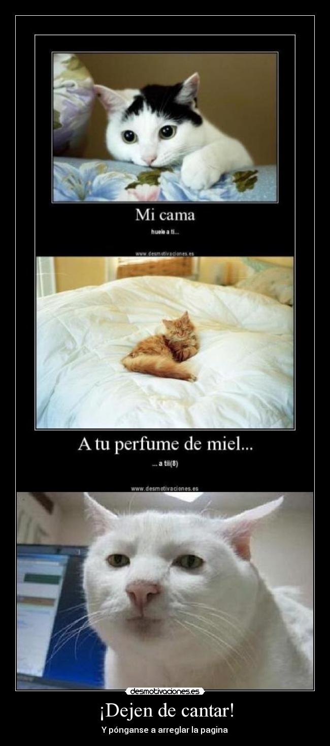 ¡Dejen de cantar! -