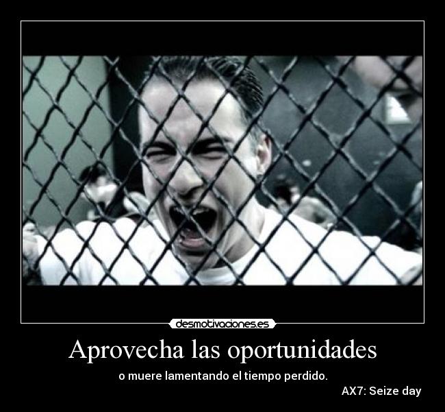 Aprovecha las oportunidades - o muere lamentando el tiempo perdido.
                                                                                                                    AX7: Seize day