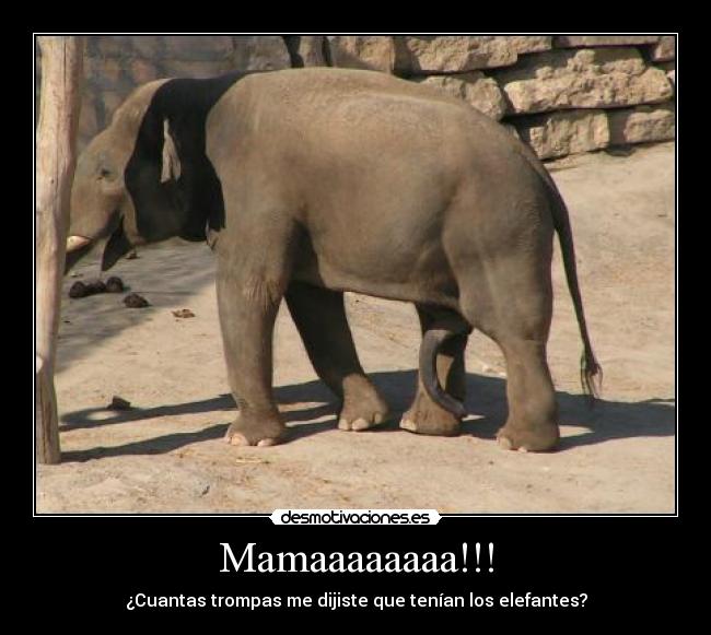 Mamaaaaaaaa!!! - 