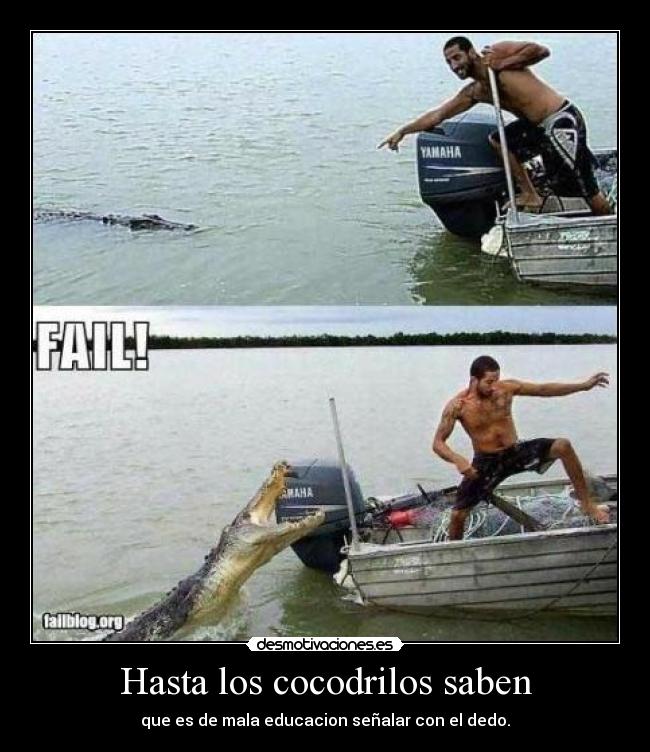 carteles hasta los cocodrilos saben que mala educacion senalar con los dedos desmotivaciones
