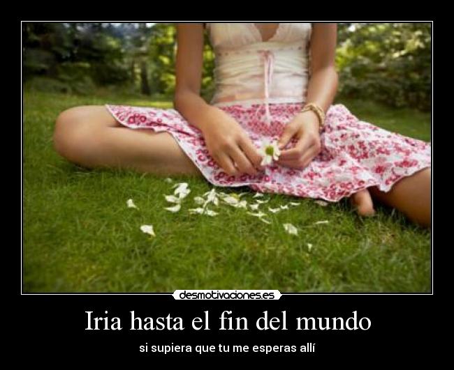 Iria hasta el fin del mundo - 