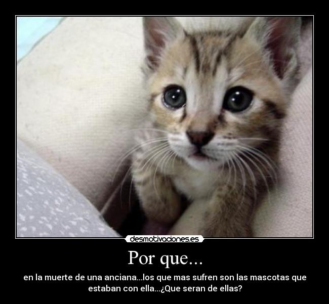 Por que... -