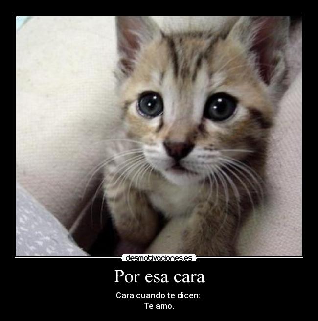 Por esa cara - Cara cuando te dicen:
Te amo.