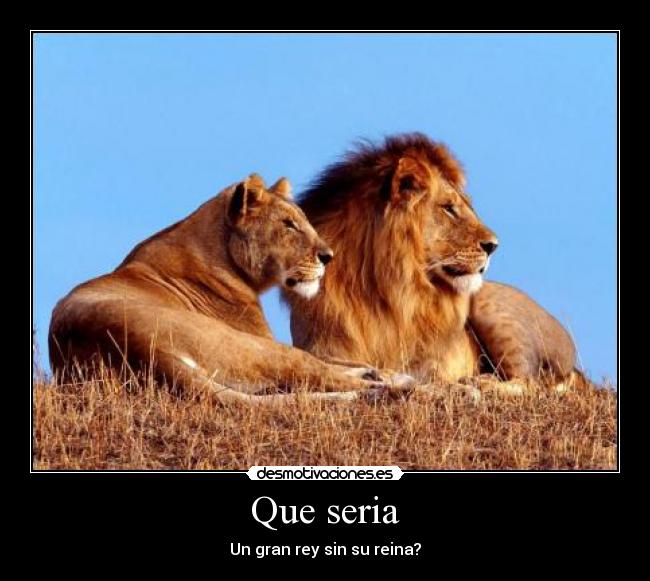 Que seria -