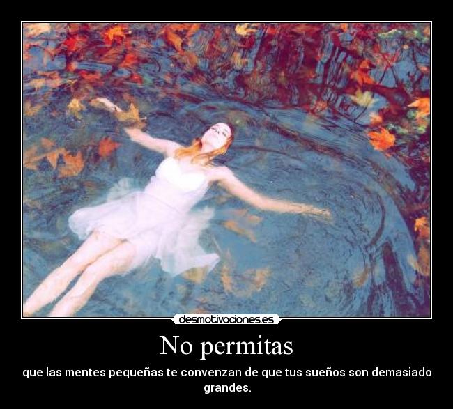 No permitas - que las mentes pequeñas te convenzan de que tus sueños son demasiado grandes.