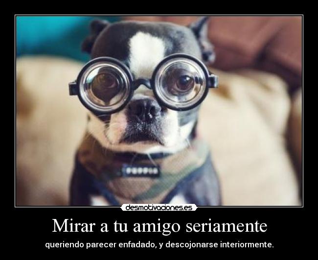 Mirar a tu amigo seriamente -