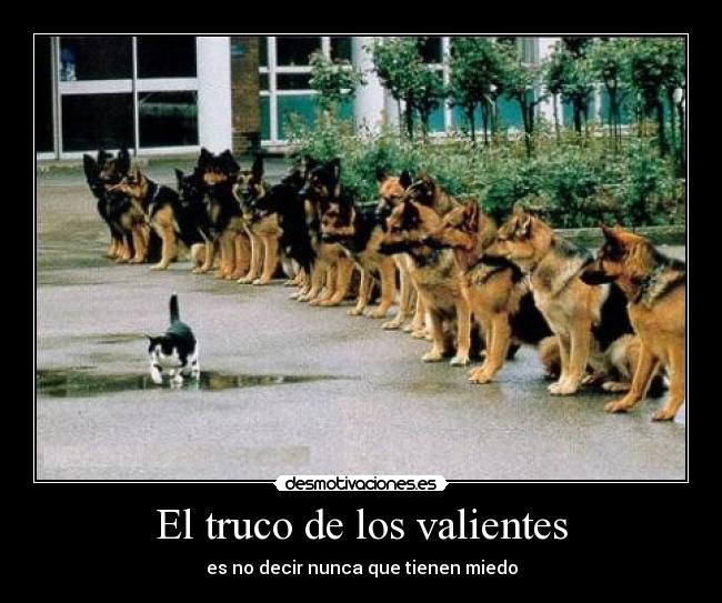 El truco de los valientes -