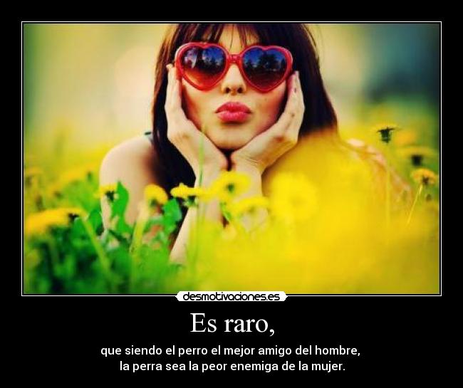 Es raro, - que siendo el perro el mejor amigo del hombre, 
la perra sea la peor enemiga de la mujer.