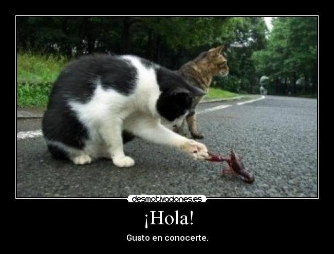 ¡Hola! - 