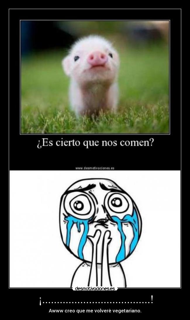 ¡.....................................! -