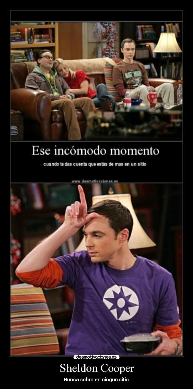 Sheldon Cooper - Nunca sobra en ningún sitio.