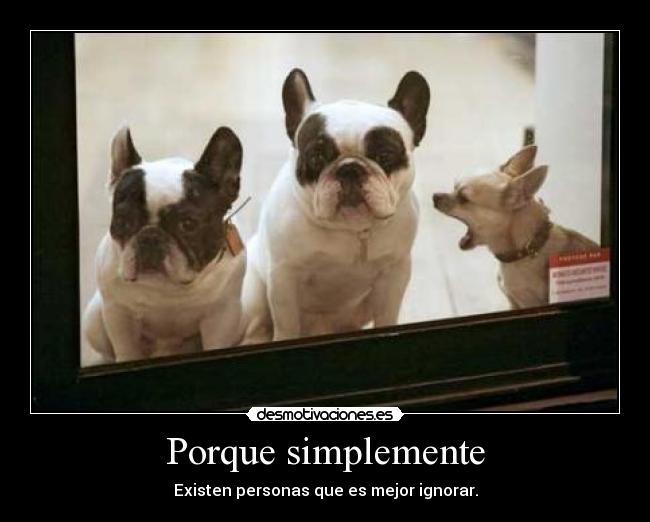 Porque simplemente - 