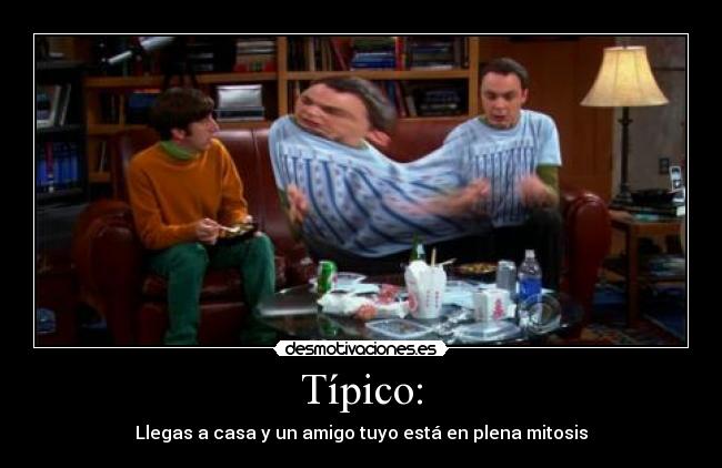 Típico: - Llegas a casa y un amigo tuyo está en plena mitosis