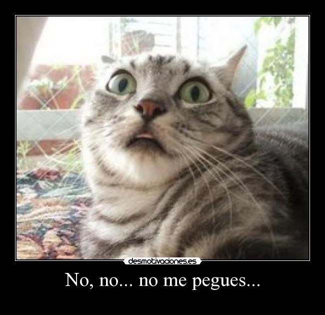 No, no... no me pegues... - 