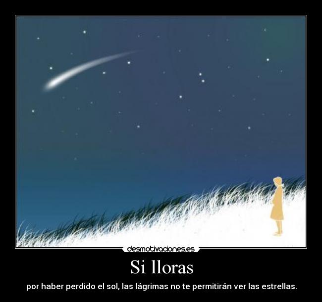 carteles solucion llores por noche xdd desmotivaciones