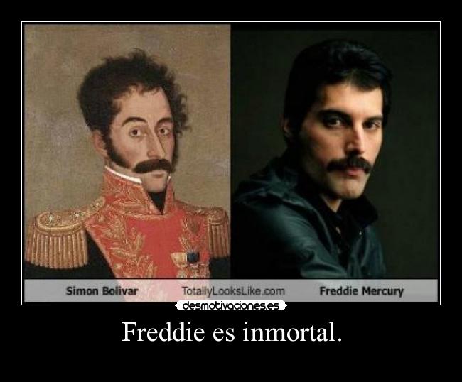 Freddie es inmortal. - 