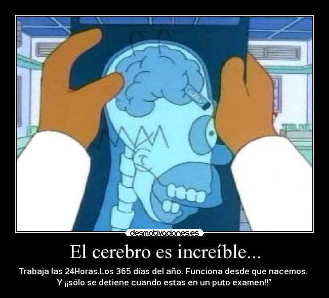 El cerebro es increíble... - 