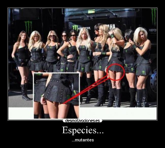 carteles humor desmotivaciones