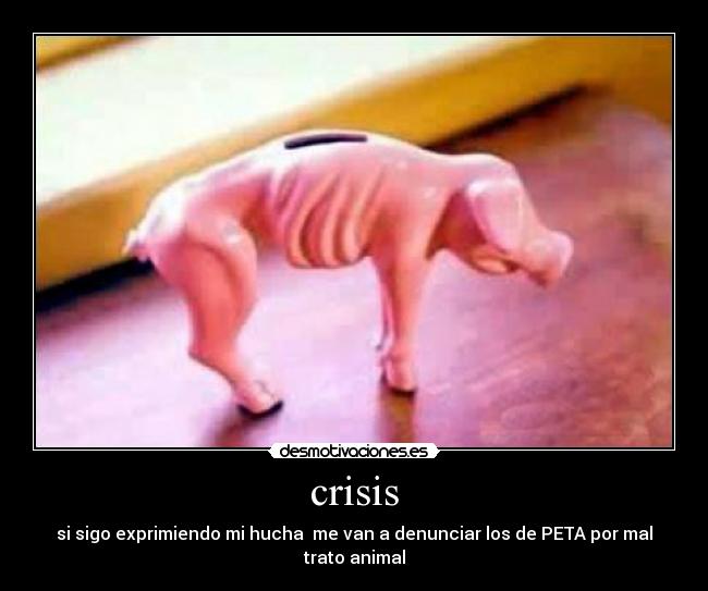 crisis - si sigo exprimiendo mi hucha me van a denunciar los de PETA por mal trato animal
