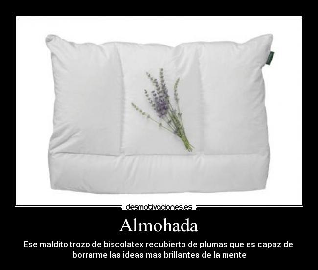 Almohada - Ese maldito trozo de biscolatex recubierto de plumas que es capaz de 
borrarme las ideas mas brillantes de la mente