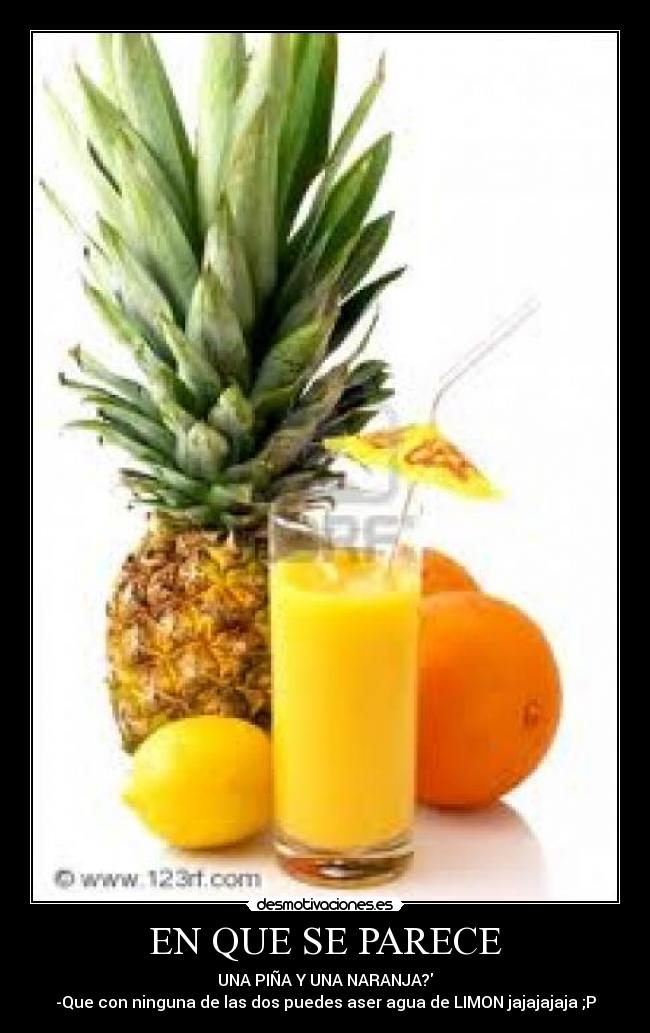 EN QUE SE PARECE - 