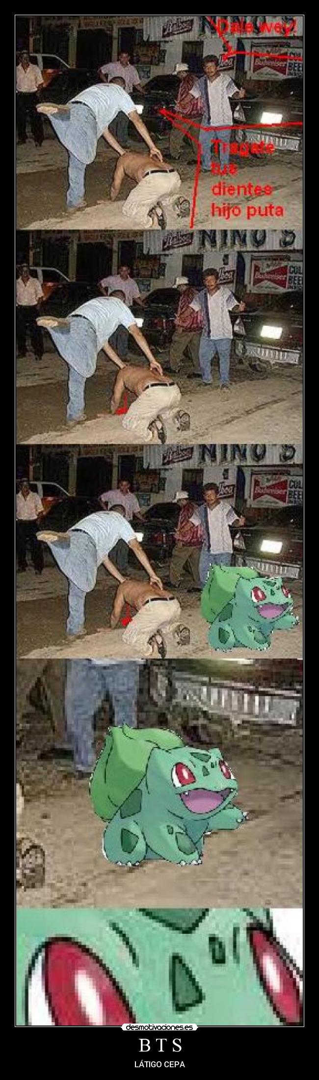 B T S - LÁTIGO CEPA