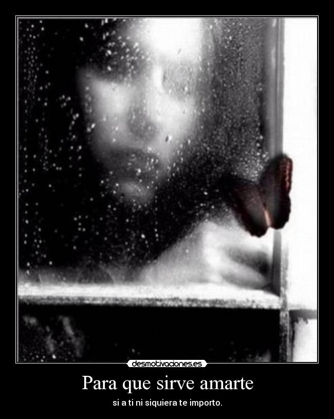 Para que sirve amarte - 
