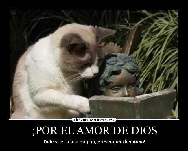 ¡POR EL AMOR DE DIOS - Dale vuelta a la pagina, eres super despacio!