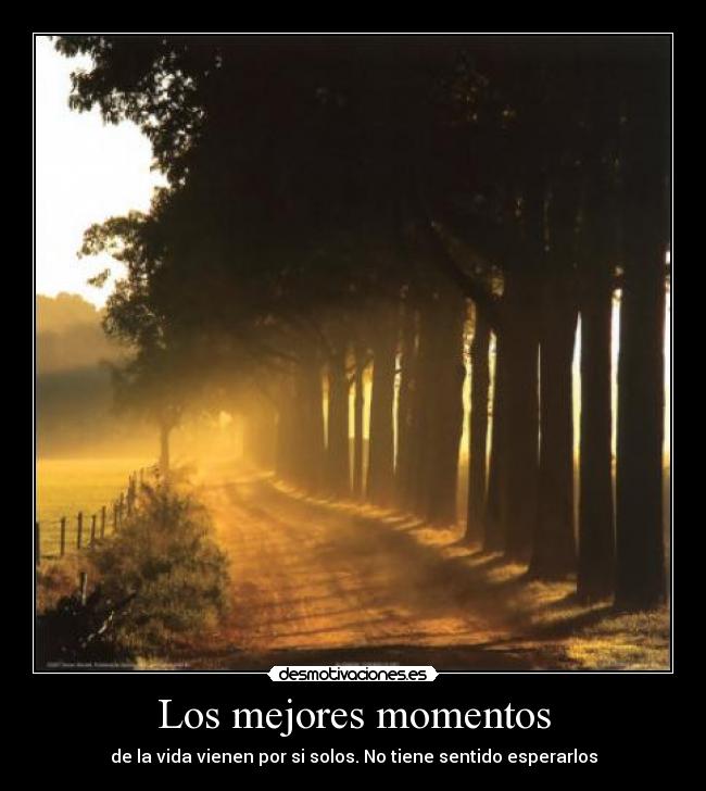 Los mejores momentos - 
