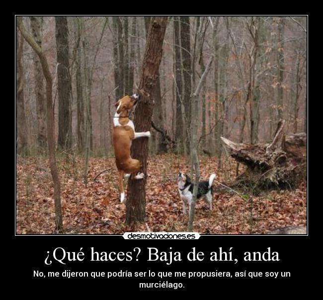 carteles las ardillas molan desmotivaciones