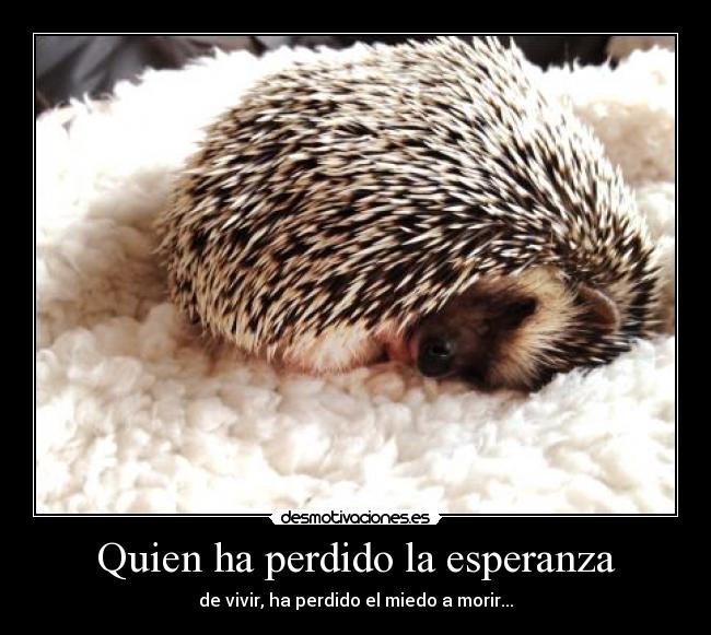 Quien ha perdido la esperanza - de vivir, ha perdido el miedo a morir...