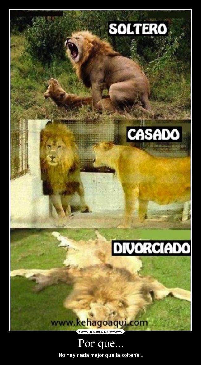 Por que... - No hay nada mejor que la soltería...