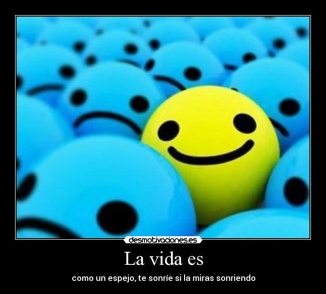 La vida es -