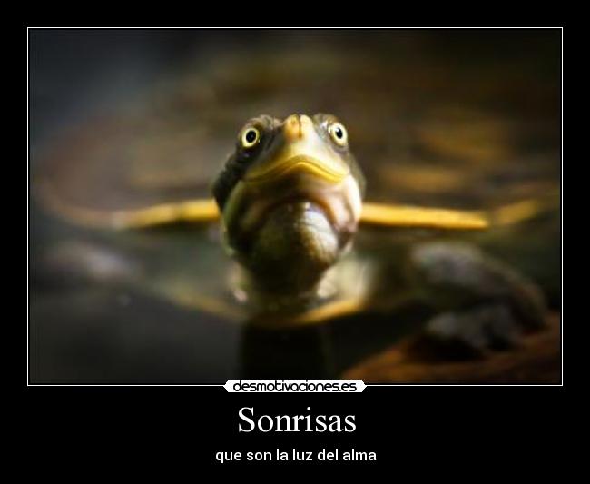 carteles sonrisas desmotivaciones