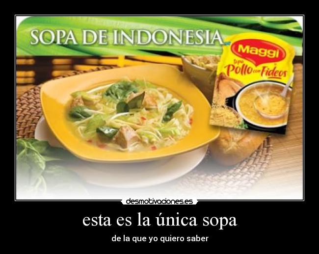 esta es la única sopa - 