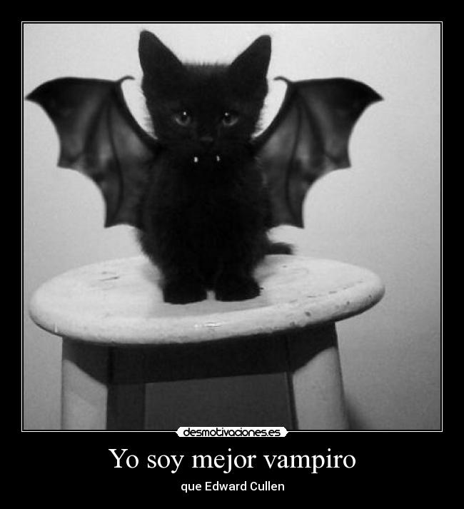 carteles edward vampiro gatito desmotivaciones