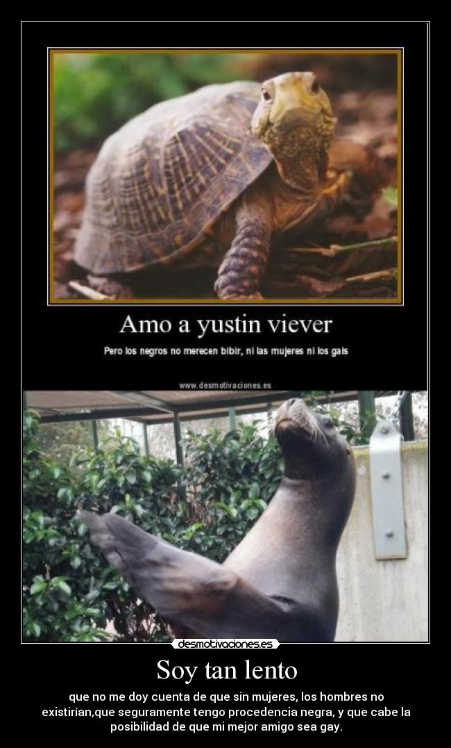 Soy tan lento - que no me doy cuenta de que sin mujeres, los hombres no
existirían,que seguramente tengo procedencia negra, y que cabe la
posibilidad de que mi mejor amigo sea gay.